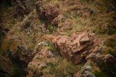 Enlarge photo 183