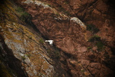 Enlarge photo 184