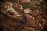 Enlarge photo 185