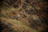 Enlarge photo 186