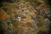 Enlarge photo 187