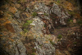 Enlarge photo 188