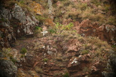 Enlarge photo 189