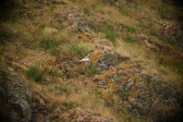 Enlarge photo 191