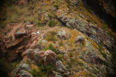 Enlarge photo 192