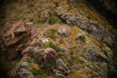 Enlarge photo 193