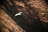 Enlarge photo 196