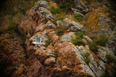 Enlarge photo 197