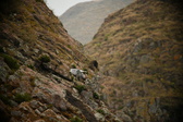 Enlarge photo 198