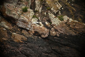 Enlarge photo 199