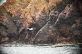 Enlarge photo 200