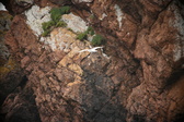 Enlarge photo 201