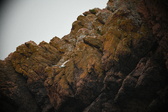 Enlarge photo 202