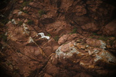 Enlarge photo 208