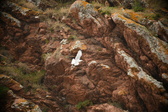 Enlarge photo 209
