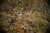 Enlarge photo 210