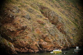 Enlarge photo 211