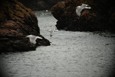 Enlarge photo 215