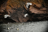 Enlarge photo 216