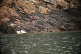 Enlarge photo 217