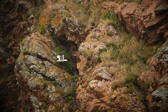 Enlarge photo 218