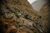 Enlarge photo 219