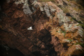Enlarge photo 220