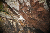Enlarge photo 221