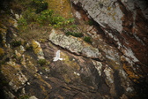 Enlarge photo 222