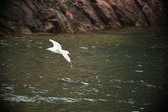 Enlarge photo 224