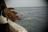 Enlarge photo 235