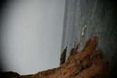 Enlarge photo 241