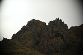 Enlarge photo 248