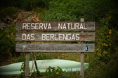Enlarge photo 250