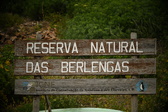 Enlarge photo 253
