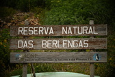 Enlarge photo 254