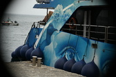 Enlarge photo 258