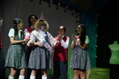 Enlarge photo 497
