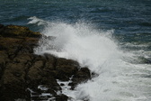 Enlarge photo 30