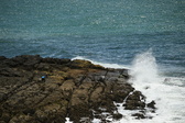 Enlarge photo 34