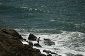Enlarge photo 41