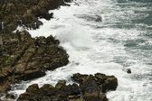 Enlarge photo 46