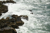 Enlarge photo 48