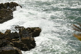 Enlarge photo 49