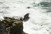 Enlarge photo 50