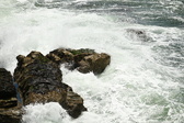 Enlarge photo 52
