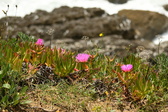 Enlarge photo 55