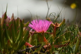 Enlarge photo 56