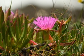 Enlarge photo 57