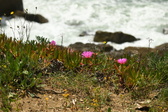 Enlarge photo 58